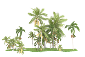 Realistic forest isolated on transparent background. 3d rendering - illustration png