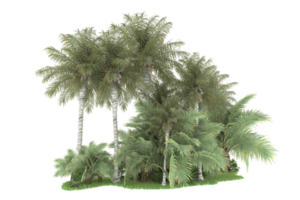 forêt réaliste isolée sur fond transparent. rendu 3d - illustration png