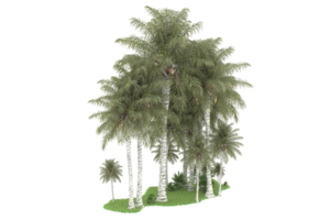 Realistic forest isolated on transparent background. 3d rendering - illustration png