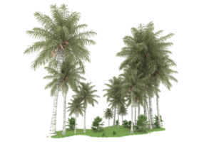 Realistic forest isolated on transparent background. 3d rendering - illustration png