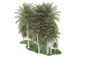 Realistic forest isolated on transparent background. 3d rendering - illustration png