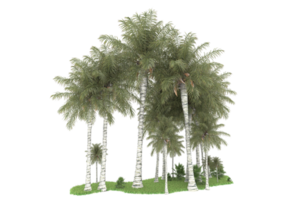 Realistic forest isolated on transparent background. 3d rendering - illustration png