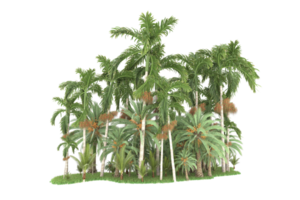 Realistic forest isolated on transparent background. 3d rendering - illustration png