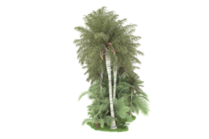 Realistic forest isolated on transparent background. 3d rendering - illustration png