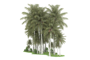 Realistic forest isolated on transparent background. 3d rendering - illustration png