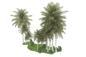 floresta realista isolada em fundo transparente. renderização 3D - ilustração png