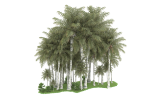 Realistic forest isolated on transparent background. 3d rendering - illustration png