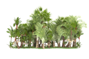 Realistic forest isolated on transparent background. 3d rendering - illustration png