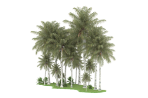 floresta realista isolada em fundo transparente. renderização 3D - ilustração png