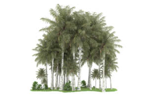 forêt réaliste isolée sur fond transparent. rendu 3d - illustration png