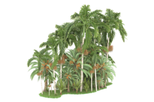 forêt réaliste isolée sur fond transparent. rendu 3d - illustration png