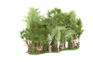 realistico foresta isolato su trasparente sfondo. 3d interpretazione - illustrazione png