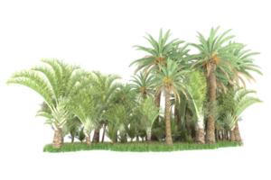 Realistic forest isolated on transparent background. 3d rendering - illustration png