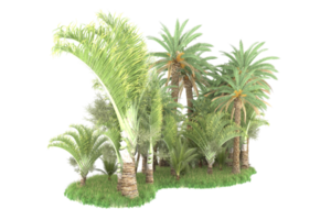 Realistic forest isolated on transparent background. 3d rendering - illustration png