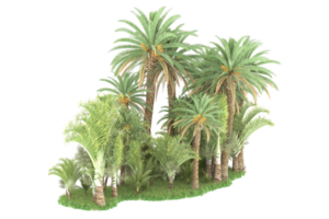 Realistic forest isolated on transparent background. 3d rendering - illustration png