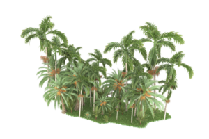 forêt réaliste isolée sur fond transparent. rendu 3d - illustration png