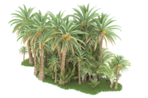 Realistic forest isolated on transparent background. 3d rendering - illustration png