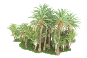 Realistic forest isolated on transparent background. 3d rendering - illustration png