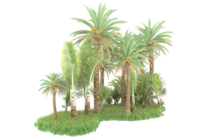 Realistic forest isolated on transparent background. 3d rendering - illustration png