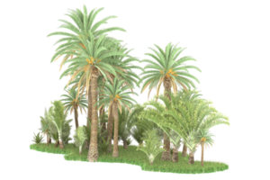 Realistic forest isolated on transparent background. 3d rendering - illustration png