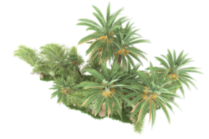 Realistic forest isolated on transparent background. 3d rendering - illustration png