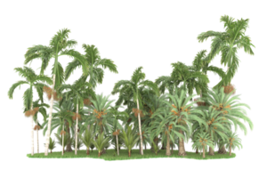 Realistic forest isolated on transparent background. 3d rendering - illustration png