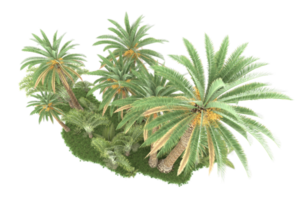 Realistic forest isolated on transparent background. 3d rendering - illustration png
