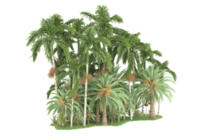 forêt réaliste isolée sur fond transparent. rendu 3d - illustration png