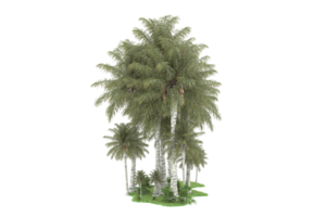 forêt réaliste isolée sur fond transparent. rendu 3d - illustration png