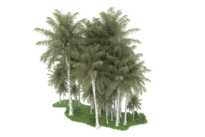 Realistic forest isolated on transparent background. 3d rendering - illustration png