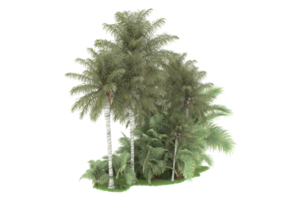 Realistic forest isolated on transparent background. 3d rendering - illustration png