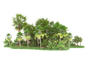 Realistic forest isolated on transparent background. 3d rendering - illustration png