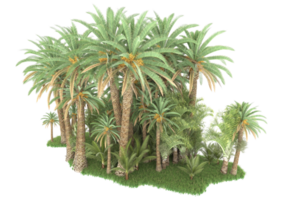 Realistic forest isolated on transparent background. 3d rendering - illustration png