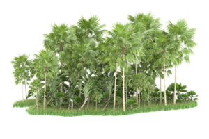 Realistic forest isolated on transparent background. 3d rendering - illustration png