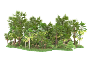 Realistic forest isolated on transparent background. 3d rendering - illustration png