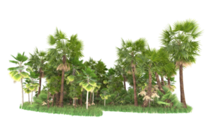 Realistic forest isolated on transparent background. 3d rendering - illustration png