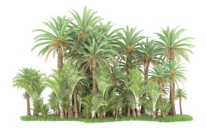 Realistic forest isolated on transparent background. 3d rendering - illustration png