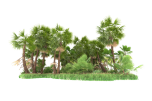 Realistic forest isolated on transparent background. 3d rendering - illustration png