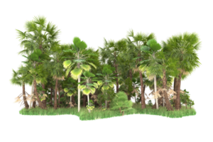 realistico foresta isolato su trasparente sfondo. 3d interpretazione - illustrazione png