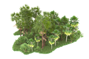 Realistic forest isolated on transparent background. 3d rendering - illustration png