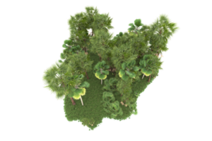 Realistic forest isolated on transparent background. 3d rendering - illustration png