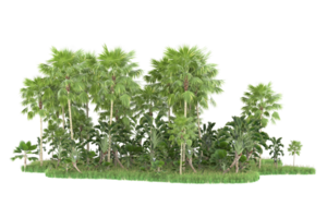 forêt réaliste isolée sur fond transparent. rendu 3d - illustration png