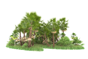 realistico foresta isolato su trasparente sfondo. 3d interpretazione - illustrazione png