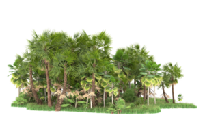 Realistic forest isolated on transparent background. 3d rendering - illustration png