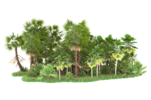 Realistic forest isolated on transparent background. 3d rendering - illustration png