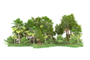 Realistic forest isolated on transparent background. 3d rendering - illustration png