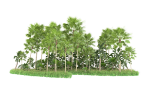 Realistic forest isolated on transparent background. 3d rendering - illustration png