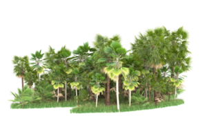 Realistic forest isolated on transparent background. 3d rendering - illustration png