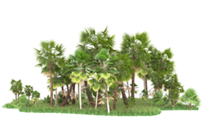 Realistic forest isolated on transparent background. 3d rendering - illustration png