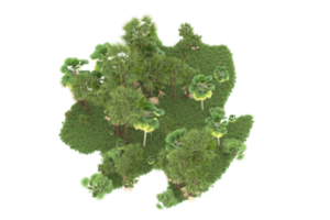 Realistic forest isolated on transparent background. 3d rendering - illustration png